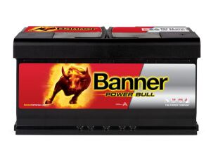 Baterie BANNER Power Bull 95Ah 780A