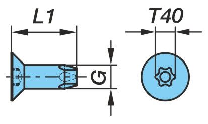 Šroub zápustný Torx Plus M8x20 - 10,9