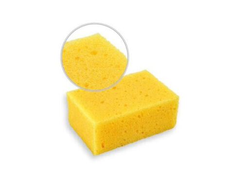 Houba mycí mořská 120x80x50 mm